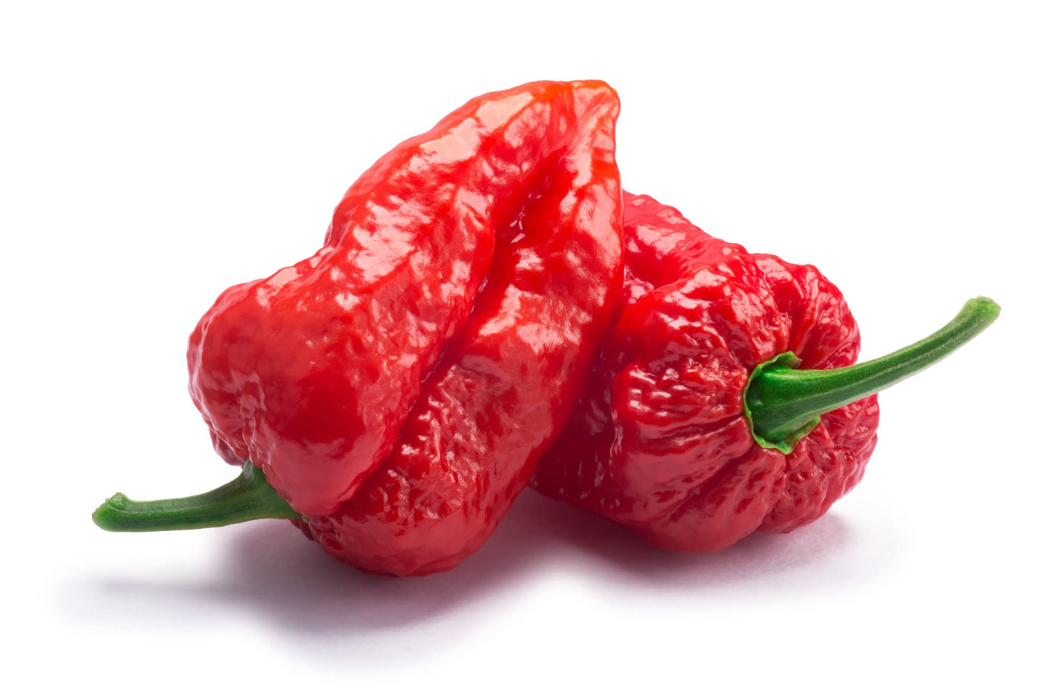Ghost Pepper Seeds to Plant - 20+ Seeds - The Hottest Peppers! Add Amazing Flavor. Made in USA. Ships from Iowa