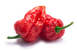 Ghost Pepper Seeds - 10+ "Bhut Jolokia" Pepper Seeds for Planting