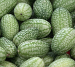 Mouse Melon Seeds | 10 Pack of Seeds | Grow This Exotic and Rare Garden Fruit | Cucamelon Seeds, Tiny Fruit to Grow. Mexican Gherkin Dwarf Watermelon