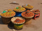 Indian Jujube Seeds for Planting - 10 Seeds - Ziziphus mauritiana, Chinese Date