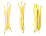 Gold Mine Bean Seeds for Planting | 50+ Seeds + | Made in USA
