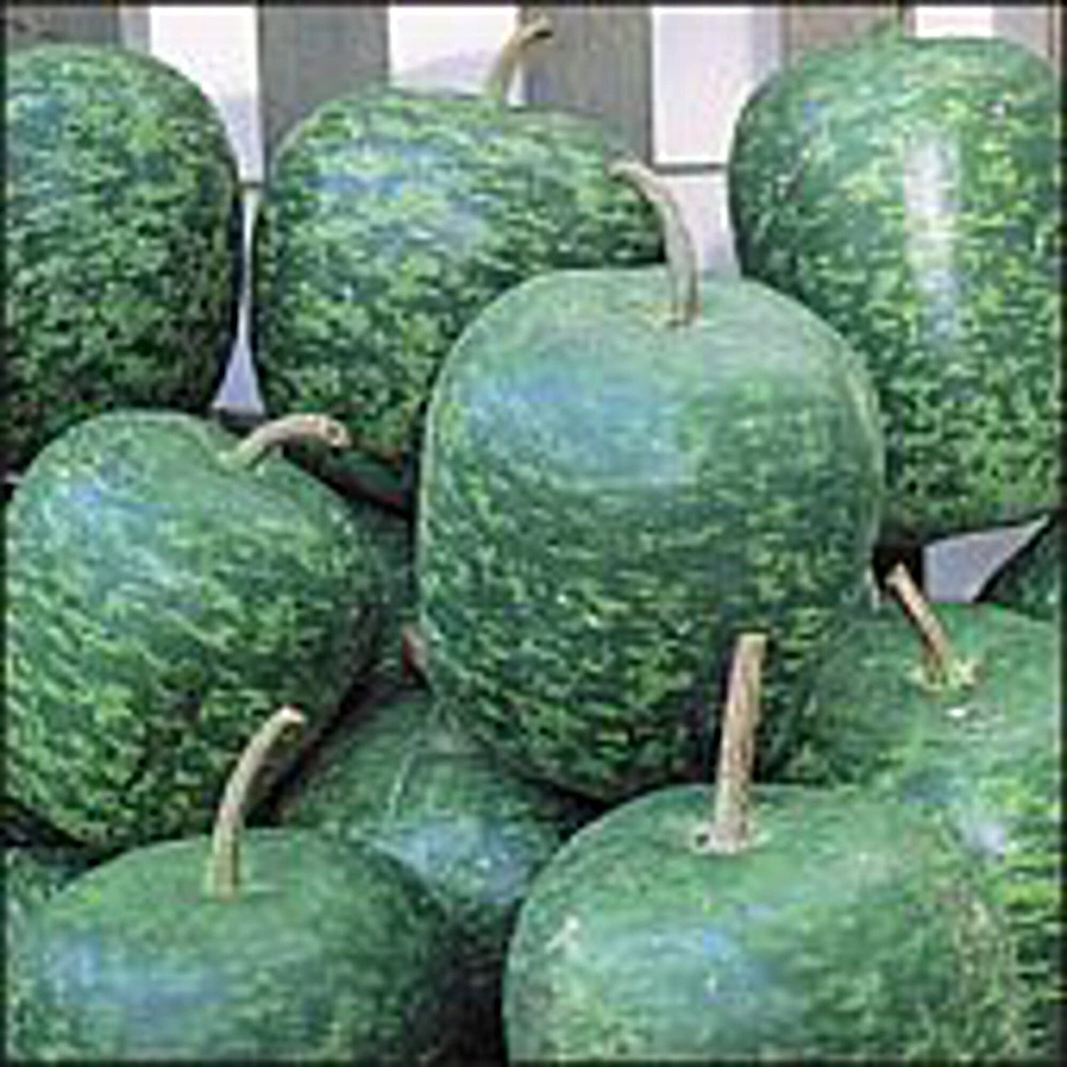 Apple Gourds (Large) Seeds (20+ Seeds) | Non GMO | Vegetable Fruit Herb Flower Seeds for Planting | Home Garden Greenhouse Pack