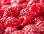 Sweet Raspberry Seedlings to Grow - Easy to Grow Rooted Plants - Grow Delicious Raspberry Fruits