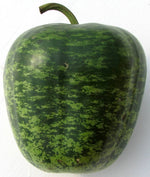 (VGOH)~Unique~"APPLE GOURD"~Seeds!!!!~~~~Crafters Love These!!~~~Hardshell Variety!