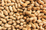 20 Peanut Seeds in The Shell for Planting - Grow Your Own Peanuts - Outdoor Home Gardens | Planting Instructions Included