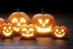 Jack O' Lantern Pumpkin Seeds for Planting - 20 Seeds - Grow Medium Sized Symmetrical Pumpkins for Carving Pumpkins