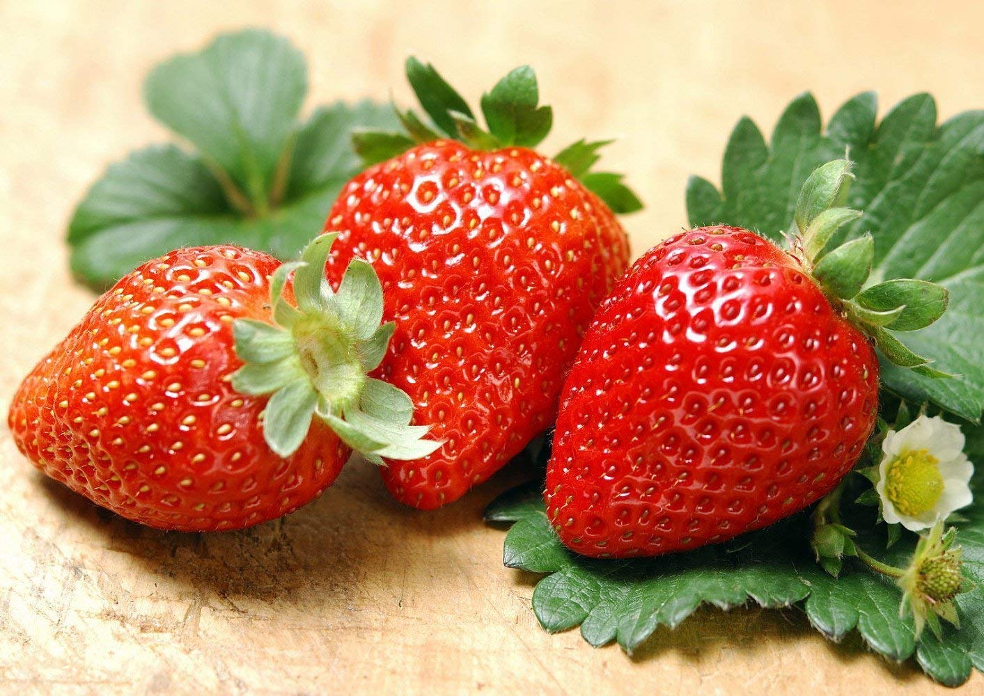 300pcs Giant Strawberry Seeds, Sweet Red Strawberry/Organic Garden Strawberry Fruit Seeds, for Home Garden Planting