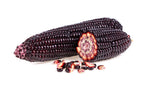 Rare Purple Popcorn Seeds for Planting - 50 Seeds to Grow This Exotic Edible Corn