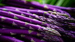 Purple Passion Asparagus Bare Root Plants to Grow - 2yr Crowns - Grow Colorful and Delicious Purple Asparagus