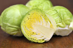Brussel Sprouts Seeds | 250+ Seeds | Grow Your Own Food | Long Island Brussel Sprouts,