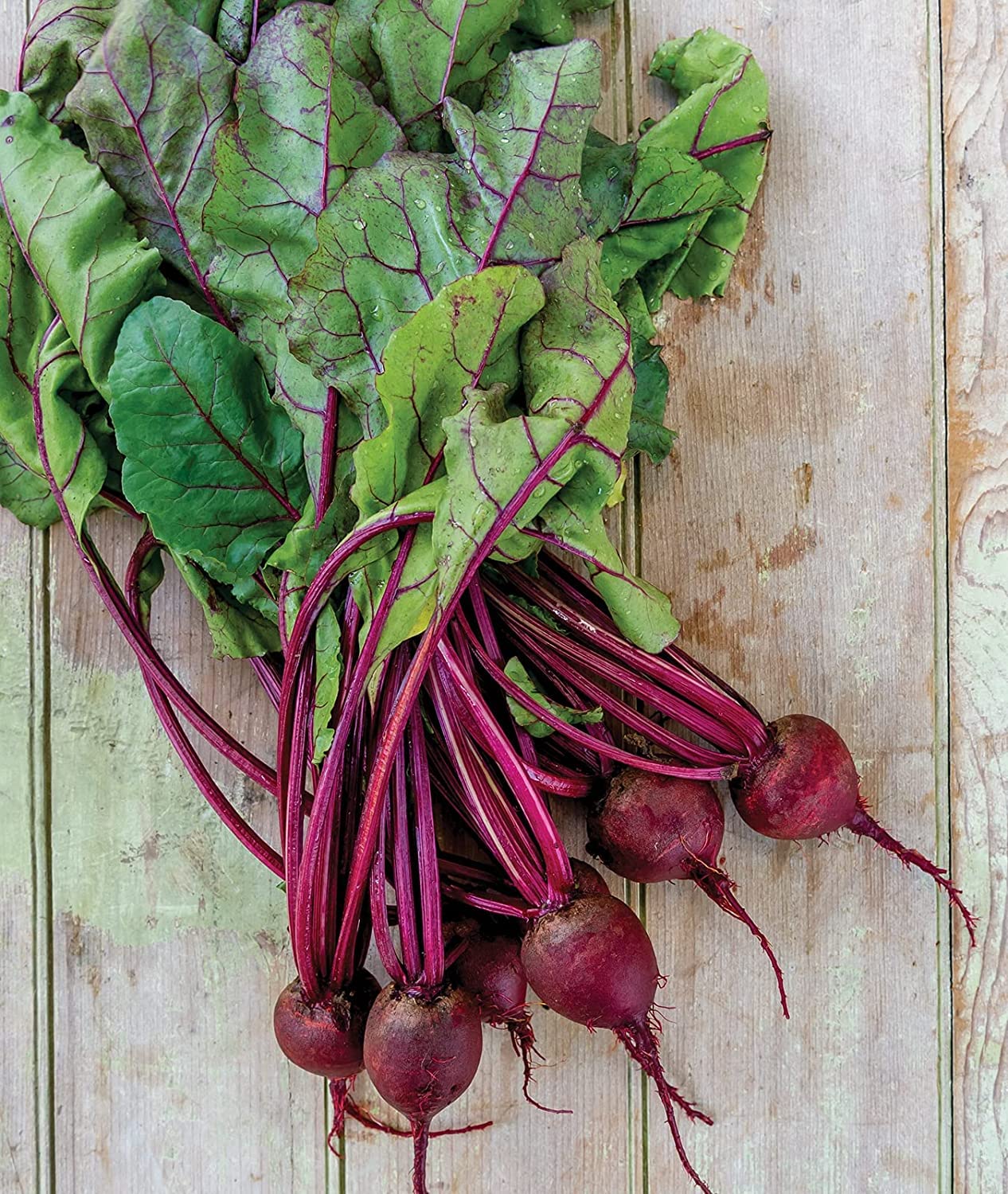 Detroit Dark Red Medium Top Beet Seeds - Made in USA, Ships from Iowa.
