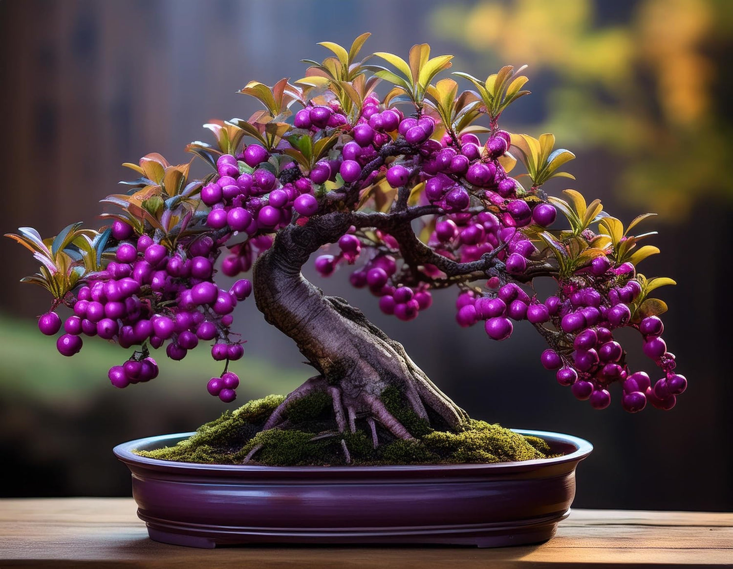 Beautyberry Bonsai Tree Seedling for Planting - 1 Year Old Well Rooted Seedling