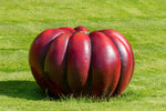 Rouge Vif D'Etampes Pumpkin Seeds for Planting (10 Seeds) - Grow Vivid Red Pumpkins
