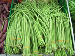 VISTARIC Yardlong Bean (Asparagus Bean, Snake Bean, Chinese Long Bean) 100 Seeds