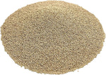 CZ Grain Premium White Millet Proso Seeds - Bulk Seeds, Bird Feed, Wild Bird Food (10 Pounds)