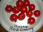 Husky Red Cherry Tomato! RARE! 20 Seeds! COMB S/H! SEE OUR STORE!