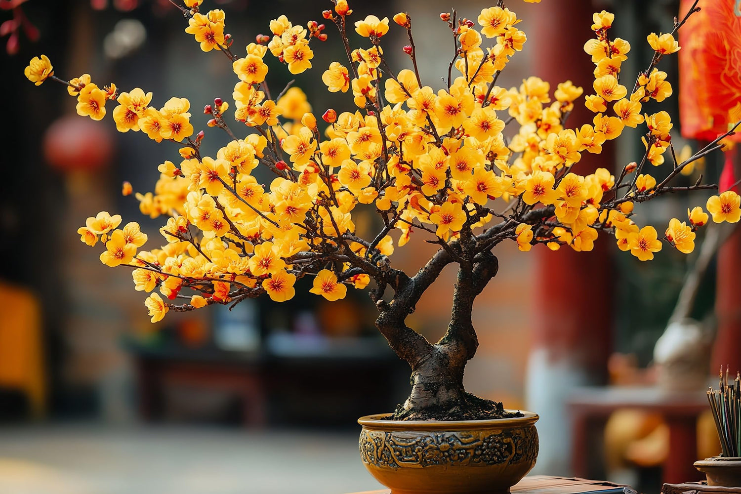 Yellow Apricot Bonsai Tree Seeds for Planting - 5 Seeds - Flowering and Fruit Bearing Bonsai