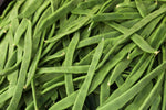 Romano Pole Bean Seeds for Planting (20 Seeds) - Qing Bian Beans