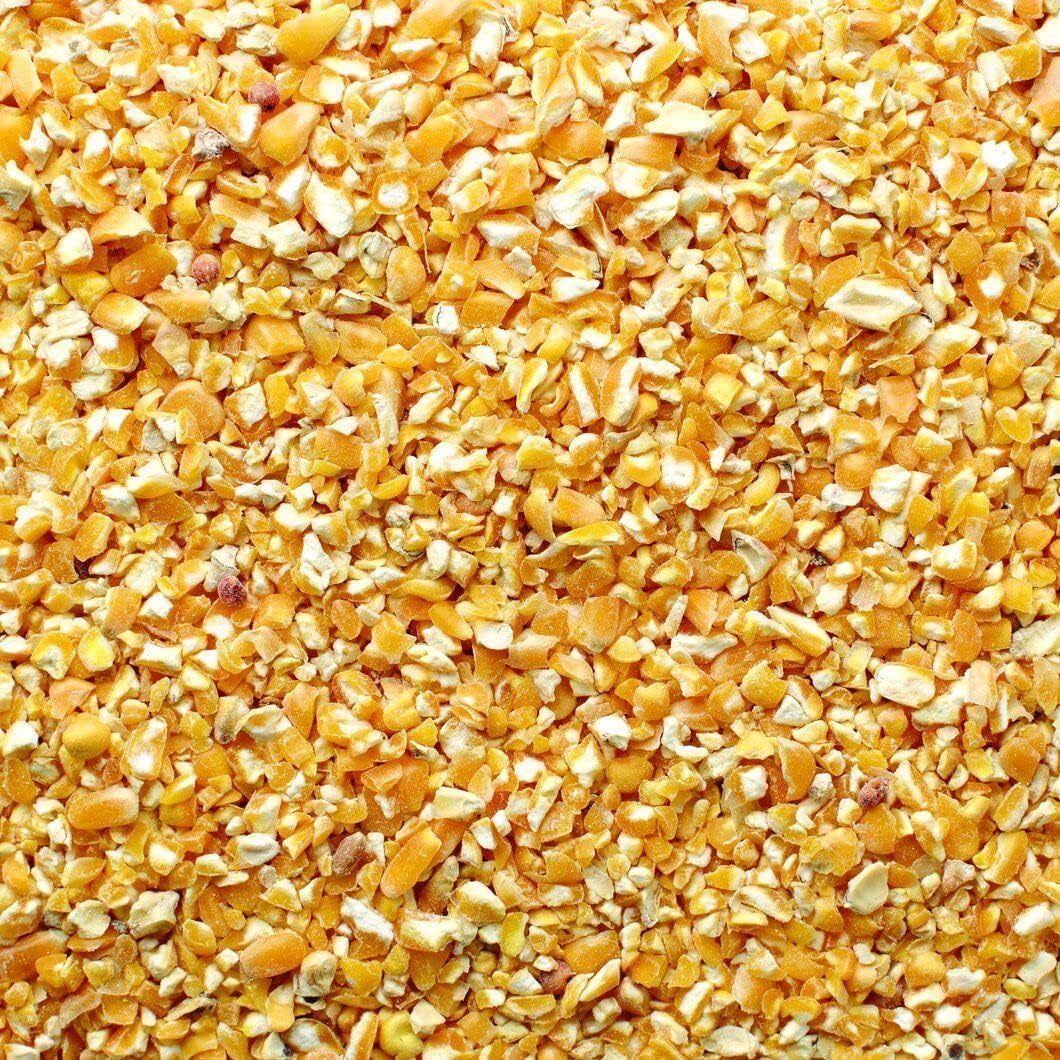 CZ Grain Cracked Corn for Birds, Turkeys, Wildlife, Chickens, Squirrels, Deer, Cows (2 Pounds)