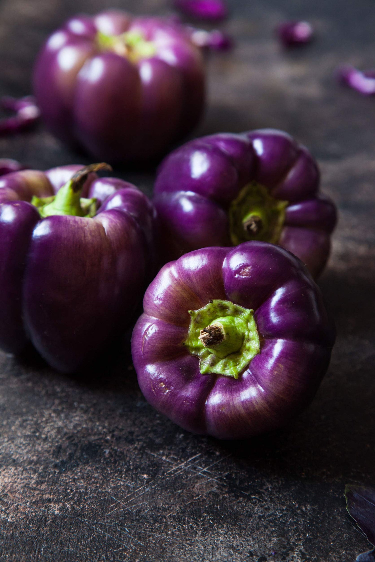 Purple Beauty Pepper Seeds to Plant - 100+ Seeds - Versatile Pepper for Eating and Seasoning. Made in USA. Ships from Iowa