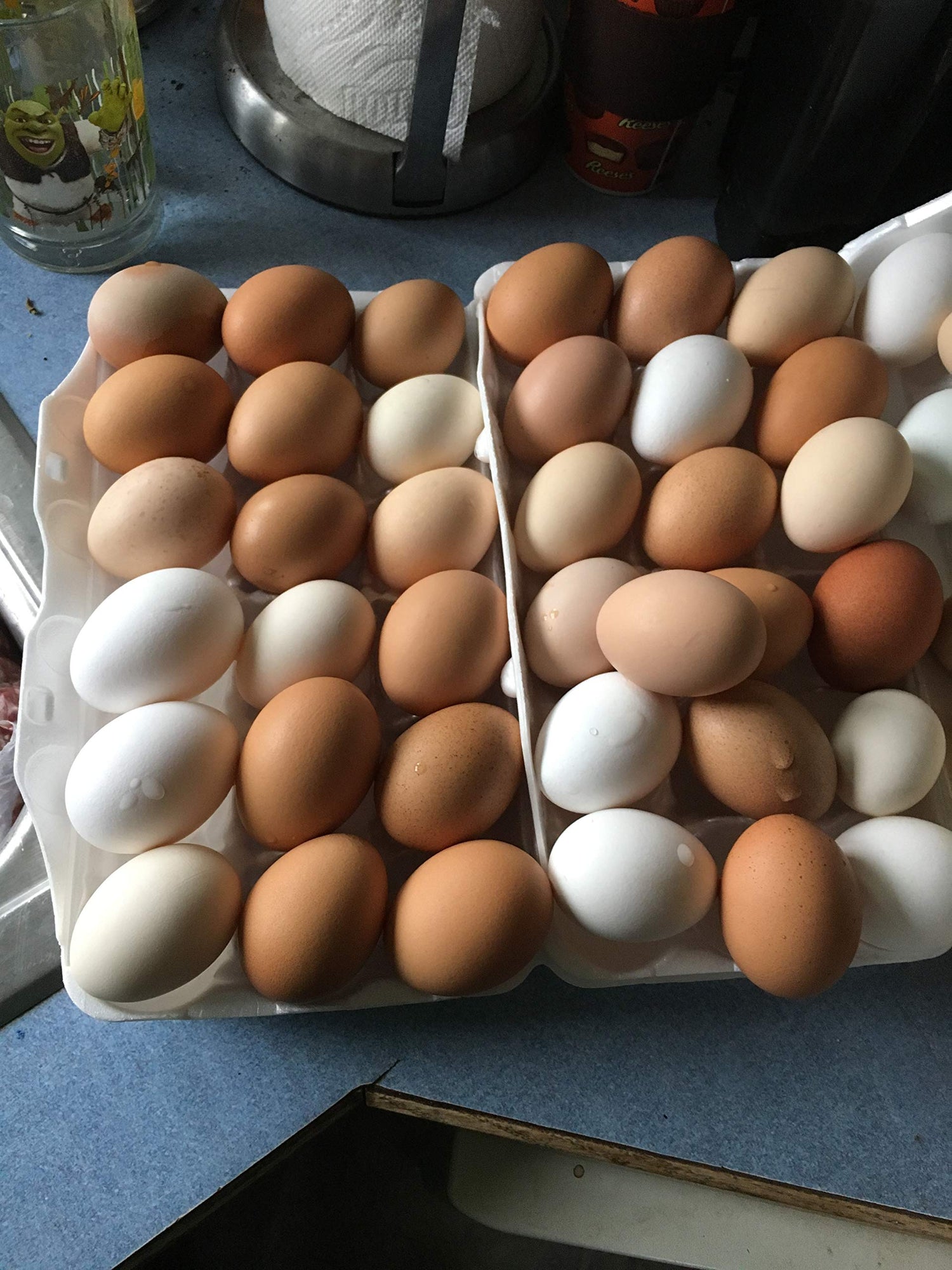 Mitrowski House Farm 12+ Fertile Hatching Eggs Barnyard Mix-**Be Sure to Select More Buying Options as Seller if You Want The Breeds Listed!!**