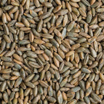 12 oz Signature Rye Berries - Organic and Healthy, High in Fiber and Iron - 12 oz Bag of Rye Berries