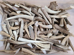 1 Pound Medium Deer Antlers | 3-4 Inches Long | Great for Chews or Crafts