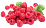 Delicious Red Raspberry Seeds - 200 Seeds - Made in USA, Ships from Iowa.