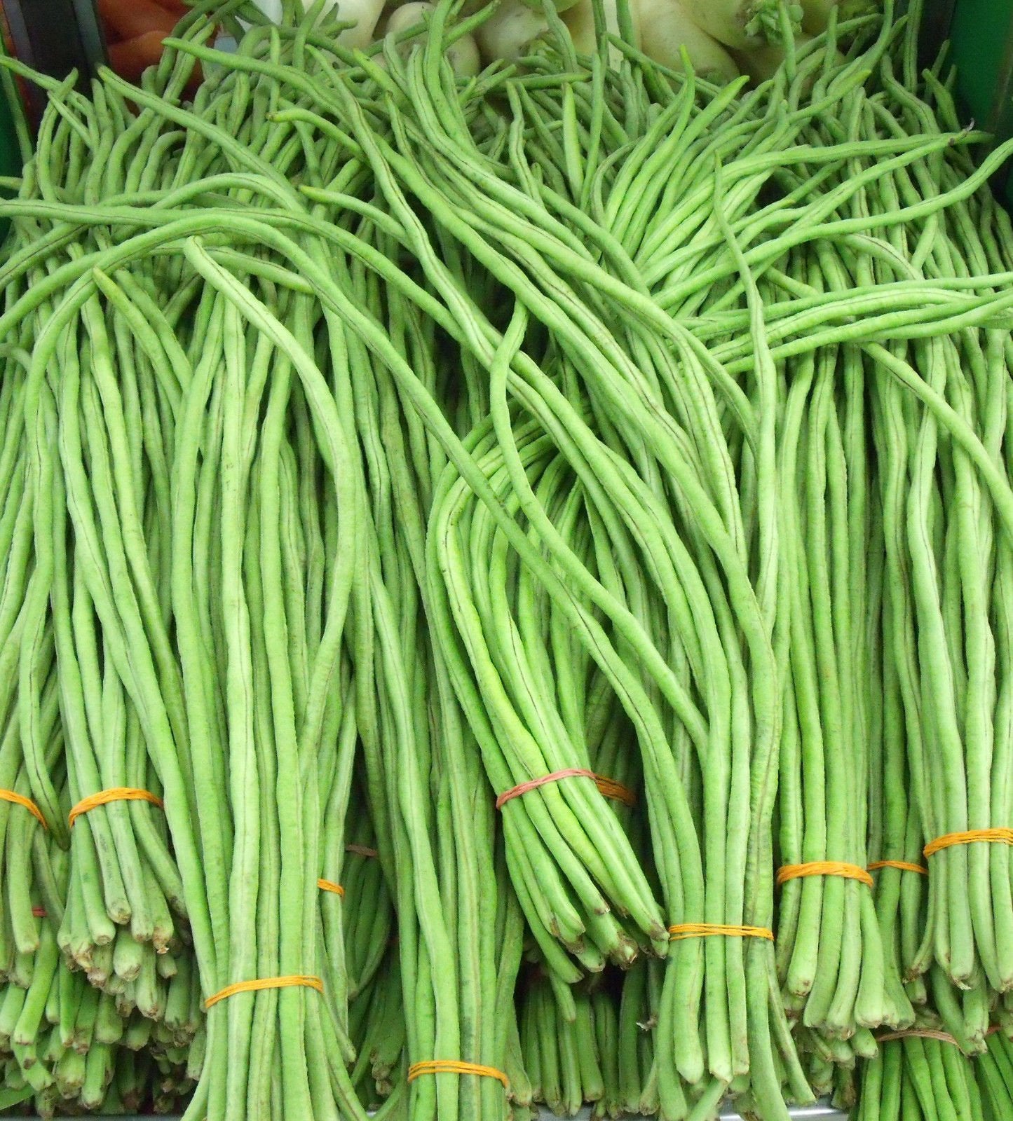 Yardlong Bean (Asparagus Bean, Snake Bean, Chinese Long Bean) 100 Seeds