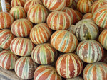 10 Kajari Melon Seeds, Cucumis Melo, Indian Delhi Melon Seeds - 10 Seeds for Planting