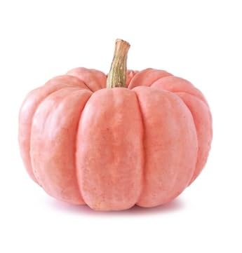 Passion Pink Pumpkin Seeds for Planting (10 Seeds) - Exotic and Hard to Find Pumpkin, Squash and Gourd Seeds - Vegetable Garden Seeds (Pink Pumpkins)