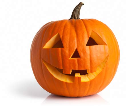Jack O' Lantern Pumpkin Seeds for Planting | 20+ Seeds | Grow Pumpkins Perfect for Jack O' Lanterns -