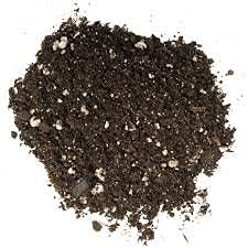 Organic Cat Grass Soil - 4 Quarts - CZ Grain Brand 100% Organic All Natural Great for Fast Growing Cat Grass