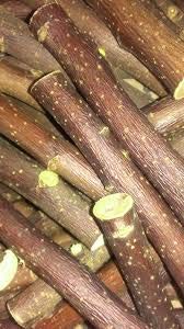 30 Applewood Sticks for Smoking, Grilling. Win Grilling Contests - Fresh Cut Apple Wood Sticks