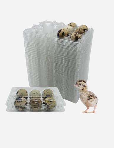 50 Pcs Quail Egg Cartons - 6 Cell Small Quail Eggs Basket, Pigeon Eggs, Bulk Carton Quail Egg Tray Container for Refrigerator