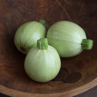 Cue Ball Squash Seeds for Planting (10 Seeds) - Big Yield of Pool Ball Size Squash