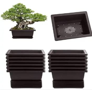 CZ Grain 6 Inch Bonsai Pots and Drip Trays - Starter Bonsai Pots, Small Bonsai Pots