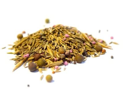 Chicken Forage Seed Mix - Better Eggs and Meat, Annual Ryegrass, Perennial Ryegrass, Buckwheat, Flax, Millet, Forage Peas, Red Clover, Alfalfa, Sunflowers (10 Pounds Bulk)