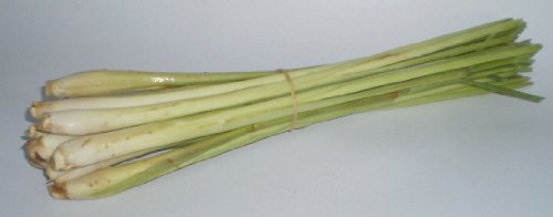 Lemon Grass Seeds - Cymbopogon Flexuosus - .04 Grams - Approx 100 Gardening Seeds - Herb Garden Seed