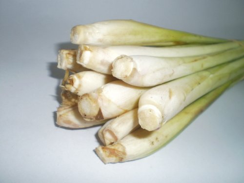 Lemon Grass Seeds - Cymbopogon Flexuosus - .04 Grams - Approx 100 Gardening Seeds - Herb Garden Seed