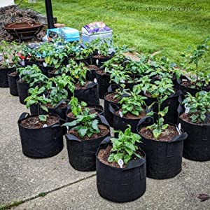 10 Heavy Duty Nursery Grow Bags - Great for Growing Trees, Bushes, Vegetable Plants or Flowers - Indoor or Outdoor Grow Containers 5,10, or 20 Gallon