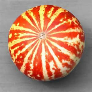 10 Seeds - Rare Tigger Melon