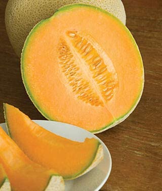 Best Cantaloupe Seeds to Grow (100+ Seeds) - Made in USA, Ships from Iowa - Hales Best Cantaloupe