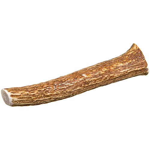 CZ Grain Large Grade A Deer Antlers for Dogs, Naturally Shed Deer Antlers, Organic Deer Antlers, All Natural Deer Antler Chews, Naturally Shed in The USA - Deer Antlers for Dogs
