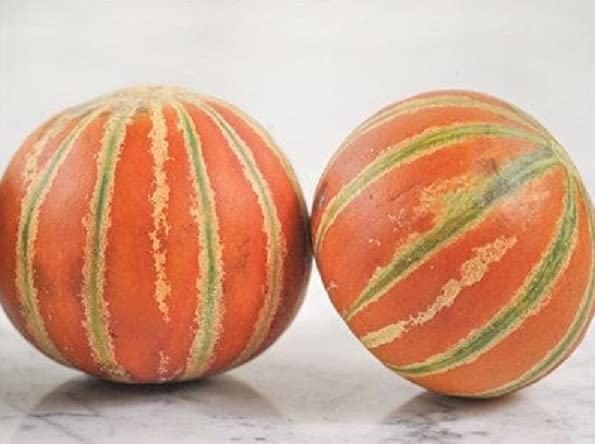 Basketball Fruit Seeds for Planting - 10 Seeds - Kajari Melon, Looks Like a Basketball