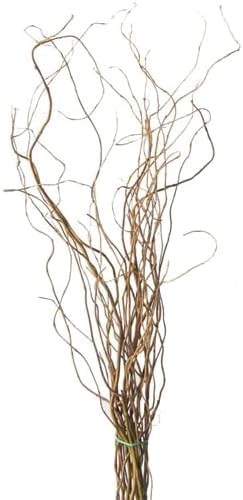 CZ Grain Natural Curly Willow Branches for Decor, 16-24 Inches Long - Wedding or Christmas Decor, Wreathmaking
