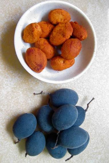 Velvet Tamarind Plum Tree Seeds for Planting (10 Seeds) - Dialium indum