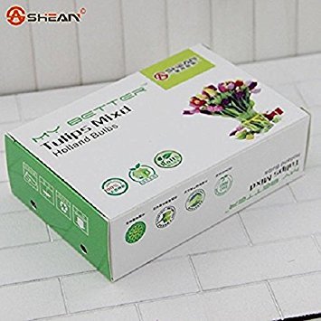 10 Mixed Colors Tulip Bulbs - Freshly Imported from Holland