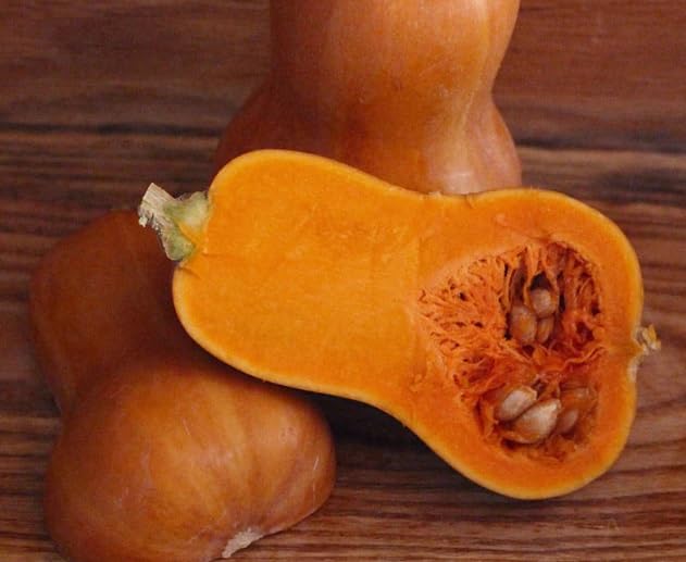 Honeynut Squash Seeds for Planting (10 Seeds) - Grow Dwarf Butternut Squash
