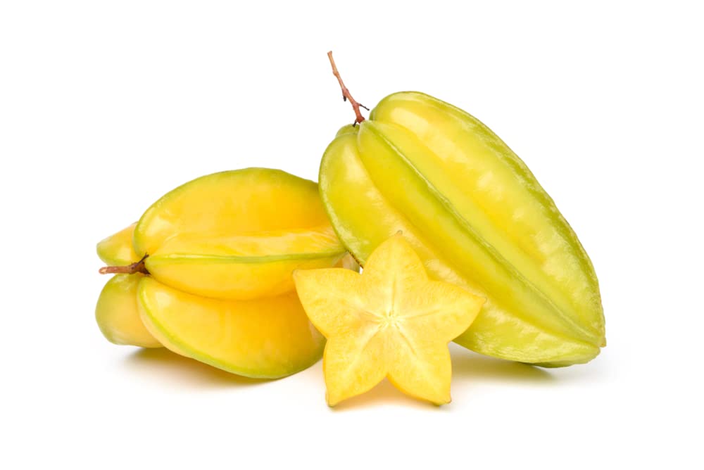 2 Starfruit Seeds for Planting - Shipped Wet and Ready to Plant - Grow 2 Starfruit Trees
